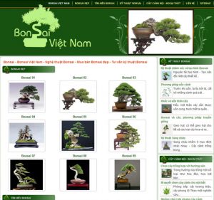 bonsaivietnam.com .vn