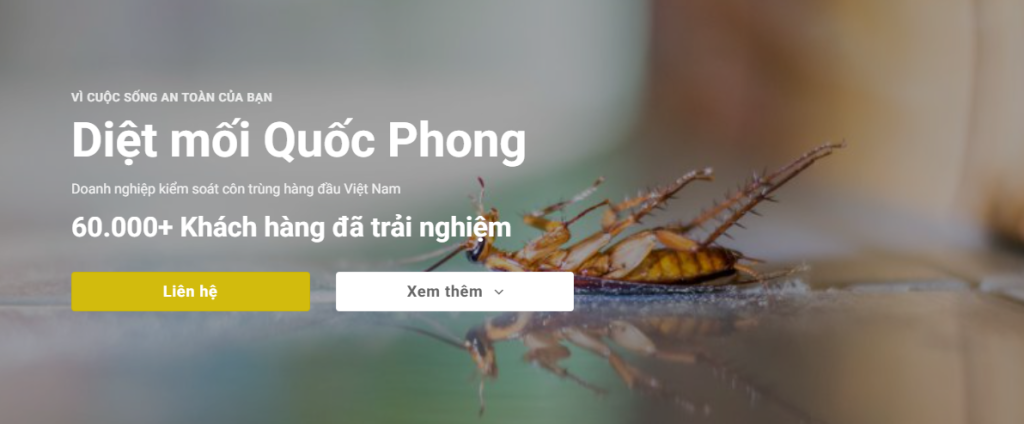 Công Ty Diệt Côn Trùng Tại Hà Nội Quốc Phong