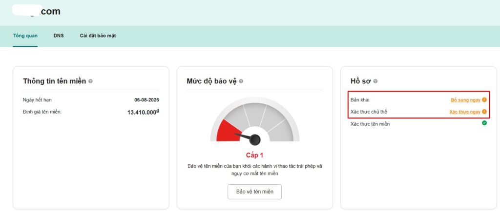 Hướng dẫn cập nhật bản khai và xác thực chủ thể tên miền